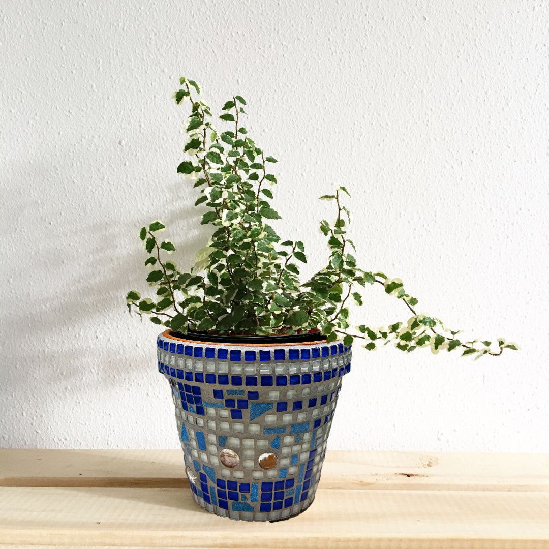 mosaic succulent pot The Way The Truth The Life