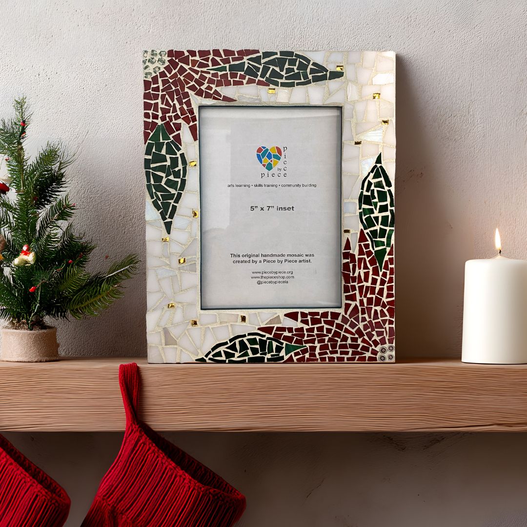 Euphoria Pulcherrima