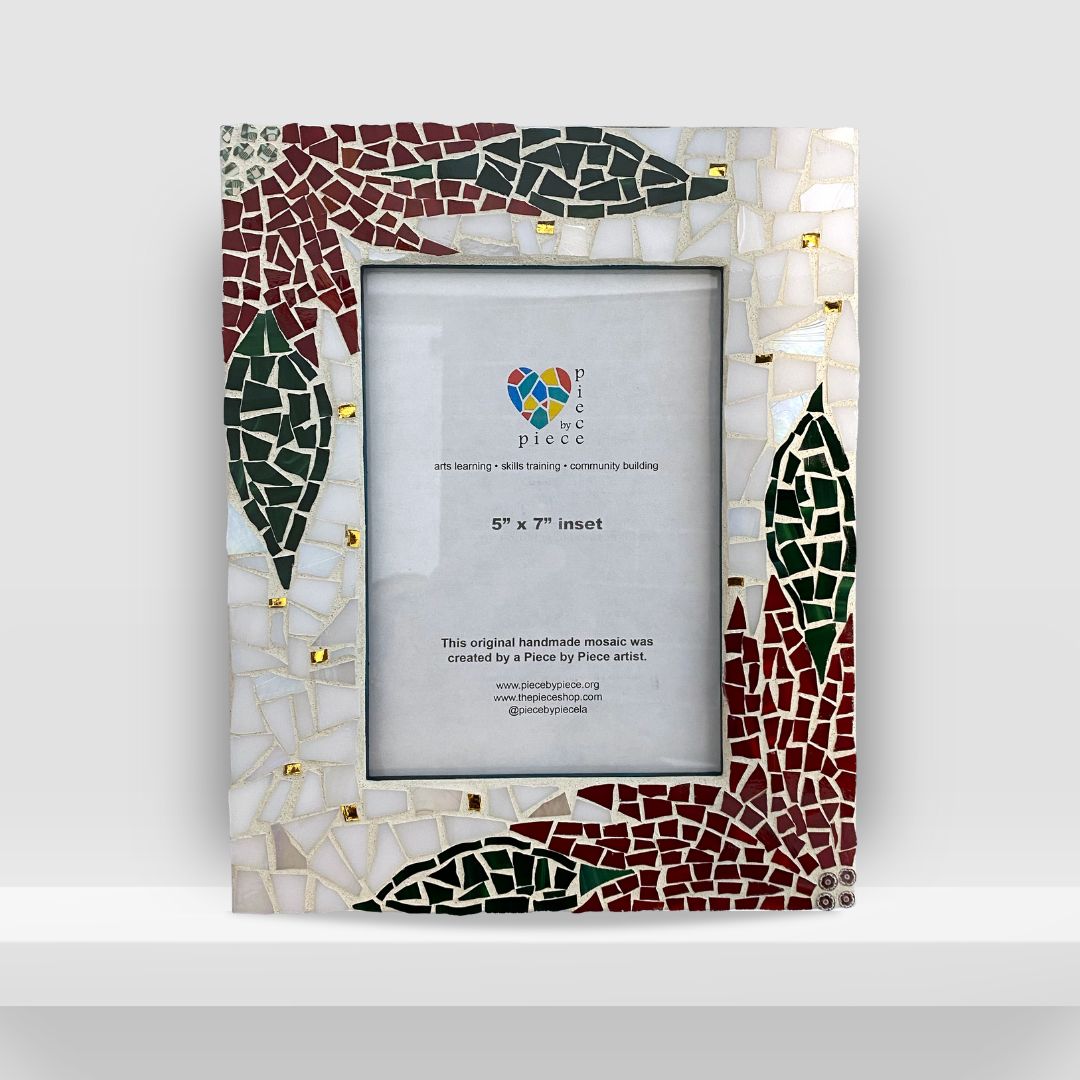 Euphoria Pulcherrima