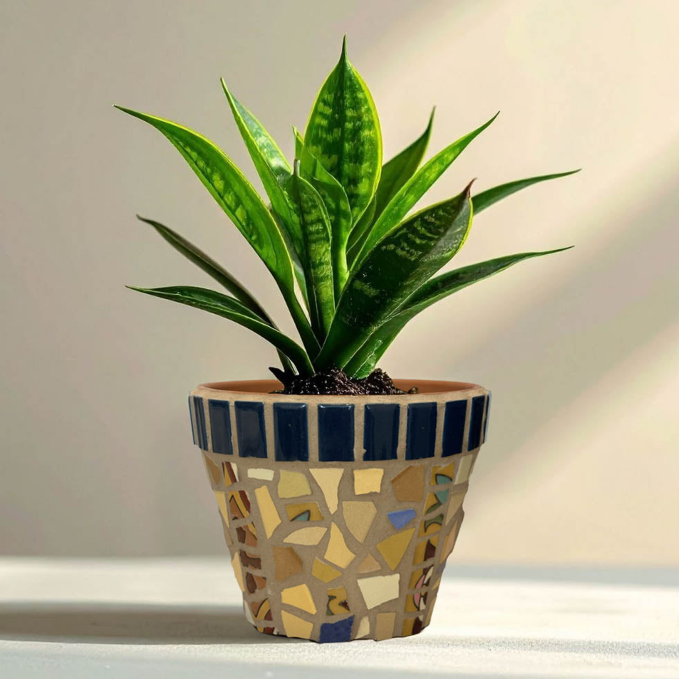 Calm Dune Pot